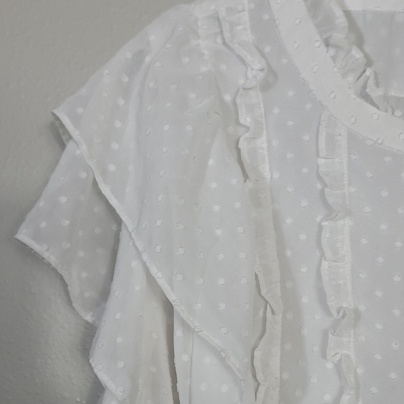 Torrid Swiss Dot Sheer Ruffled Blouse Size 4 4X White Cottage Flowy Delicate - Picture 6 of 13